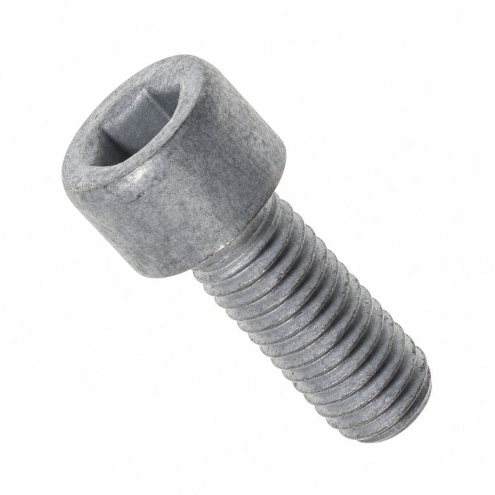 Originele inbusbout (M10X25)