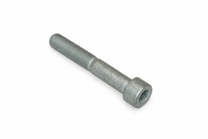 Originele inbusbout (M10X65)
