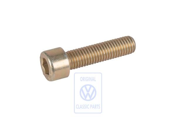 Volkswagen cilinderkopschroef omlooprol M10x40 (5- en 6-cilinder diesel)