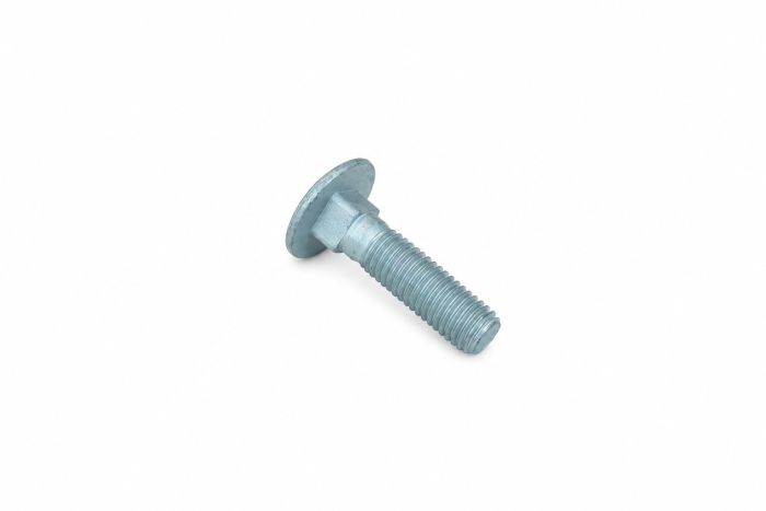Originele vlakke ronde bout (M10X40)