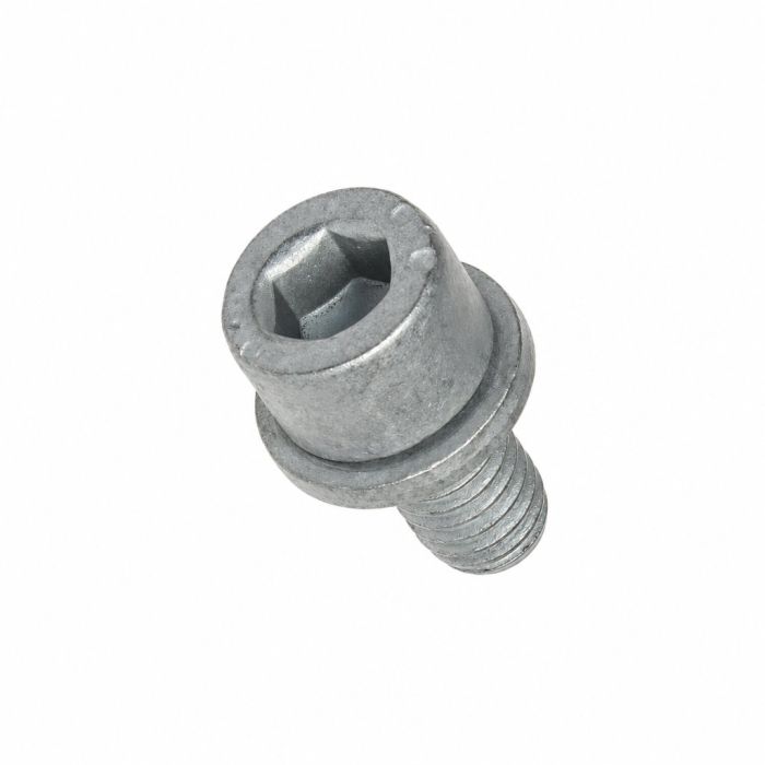 Originele inbusbout (M6X12)