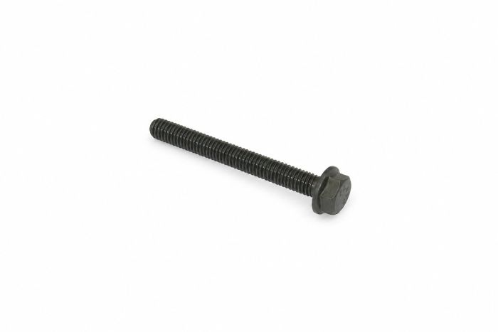 Originele zeskantbout (M8X70)