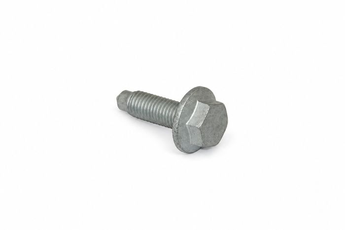 Originele zeskantbout met kraag (M10X30)