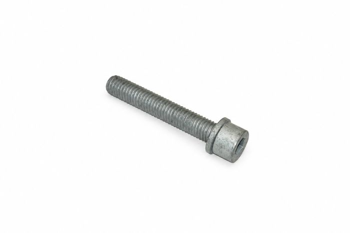 Originele inbusbout met inbus- kop (combi) (M10X60)