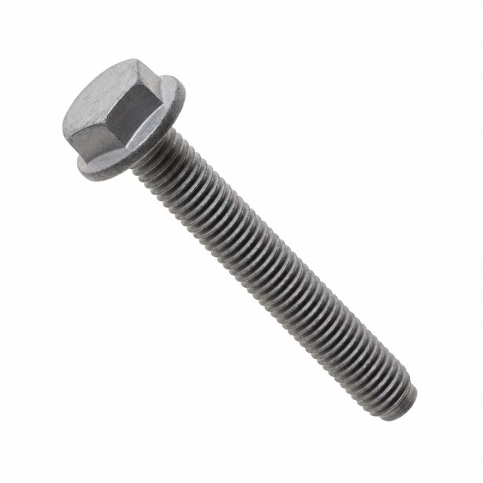 Originele zeskantbout met kraag (M10X70)