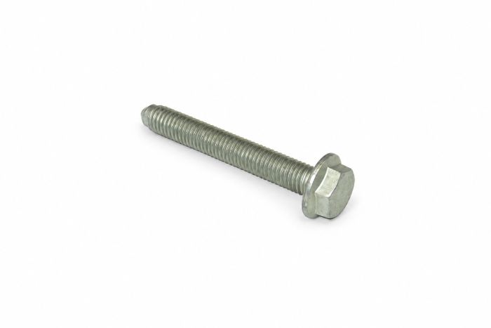 Originele zeskantbout met kraag (M10X70)