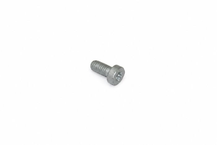 Originele inbusbout met inbuskop (M6X12)