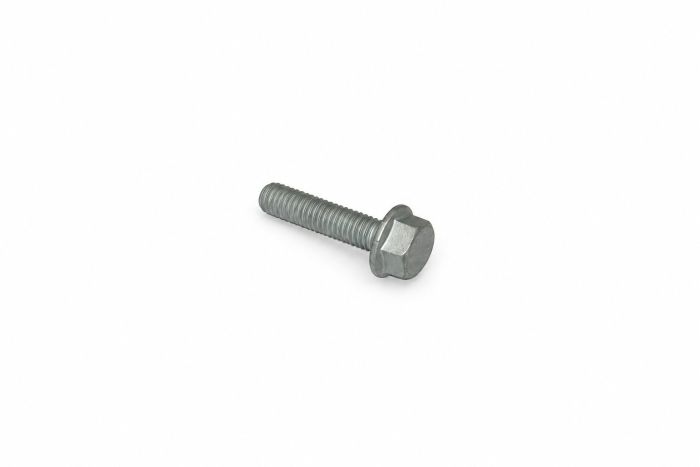 Originele zeskantbout (combi) (M6X25)