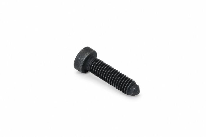 Originele inbus- bout (M8X30 N102883)
