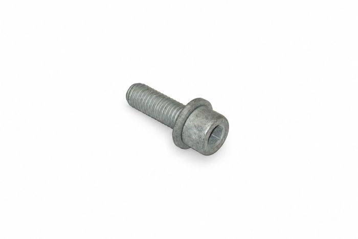 Originele inbusbout met inbus- kop (combi) (M10X30)