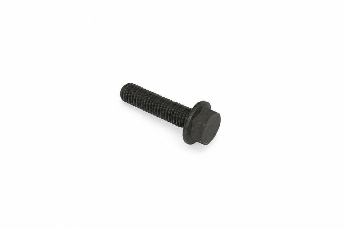 Originele zeskantbout (M10X40)