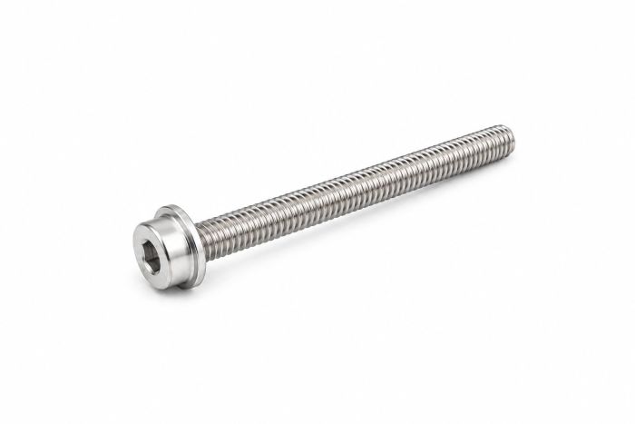 Originele inbus- bout (M6X45)