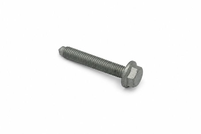 Originele zeskantbout (M12X70)