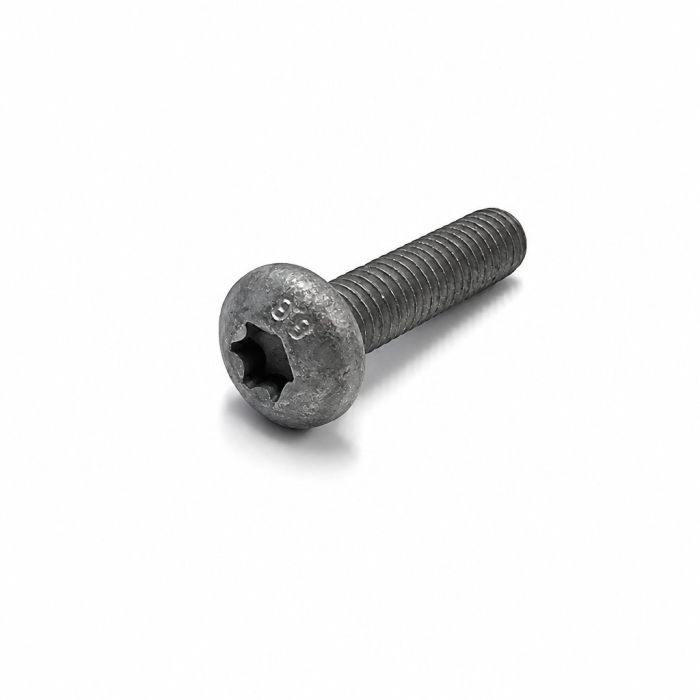 Originele inbusbout met platte kop (M6X25)