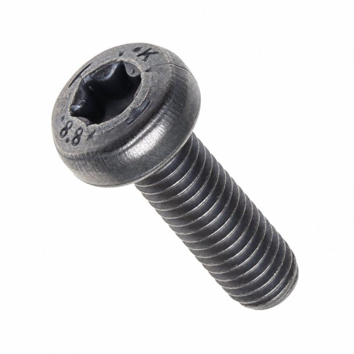 Originele inbusbout (M5X16)