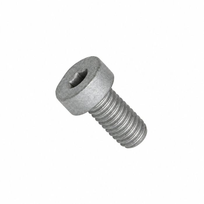 Originele inbusbout (M5X10)