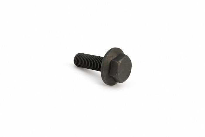 Originele zeskantbout (M10X1,25X30)