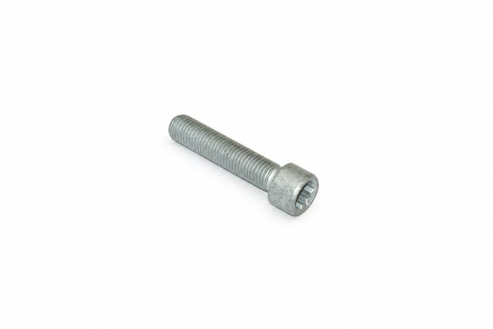 Originele inbusbout met poly-inbuskop (M12X1,5X55)
