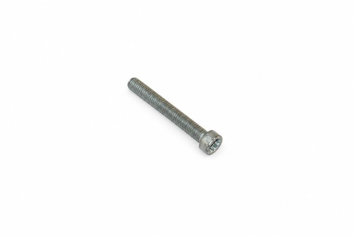 Originele inbusbout met poly-inbuskop (M8X60)