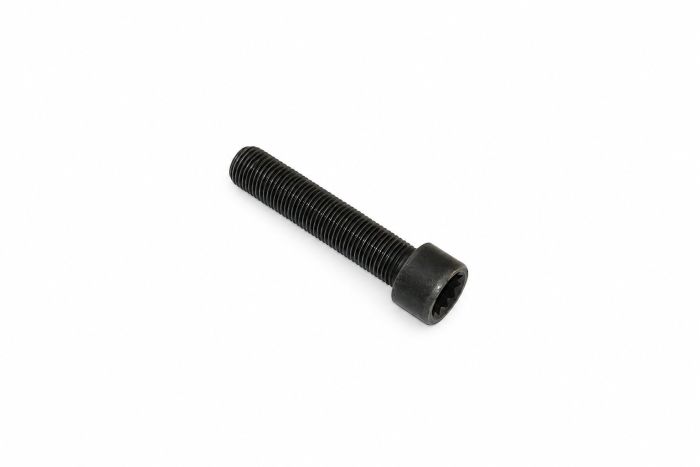 Originele inbusbout met poly-inbuskop (M14X1,5X70)