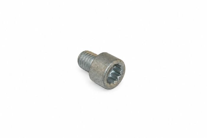 Originele inbuspasbout (M10X12)