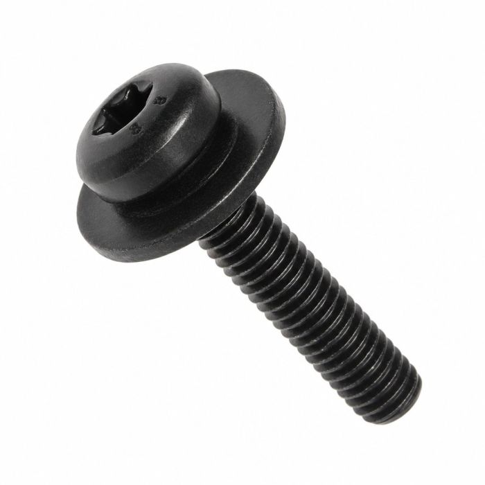 Originele inbus- bout (combi) (M6X30)