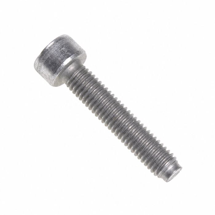 Originele inbusbout (M5X25)