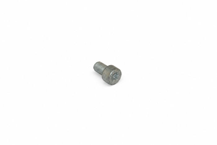 Originele inbusbout met inbuskop (M6X10)