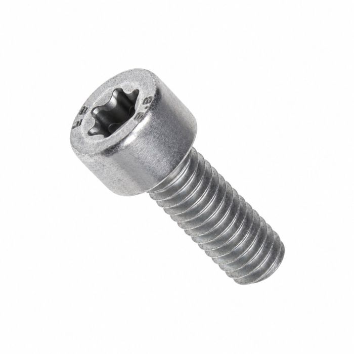 Originele inbus- (M6X16)