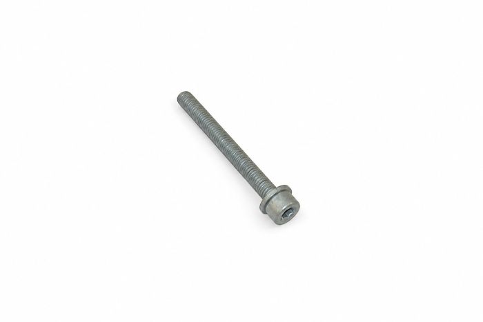Originele inbusbout met inbus- kop (combi) (M6X55)