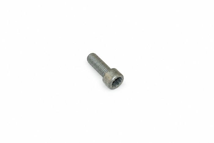 Originele poly-inbusbout (M10X28)