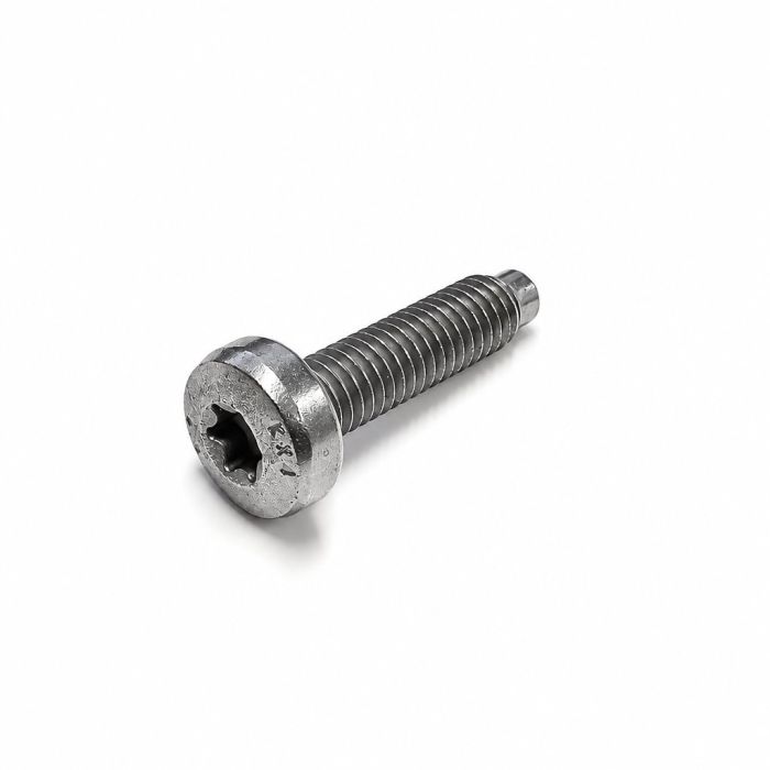 Originele inbusparker (M6X25)