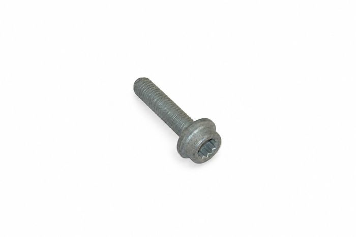 Originele inbuskraagbout met poly-inbuskop (M10X45)