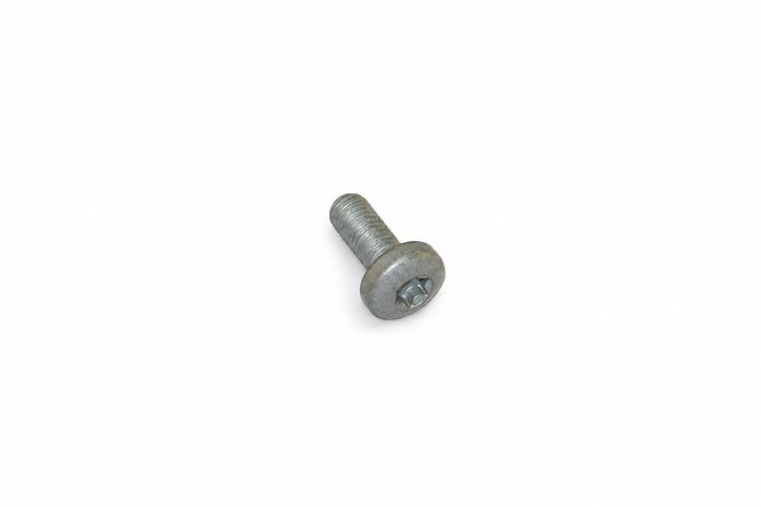 Originele inbusbout met platte kop (M8X20)