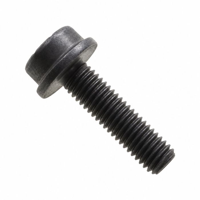 Originele inbus- bout (M8X30)