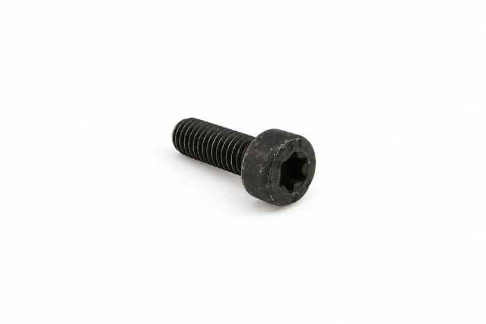 Originele inbus- bout (M6X16)