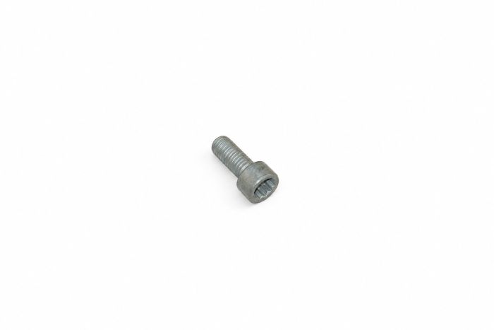 Originele inbusbout met poly-inbuskop (M8X20)