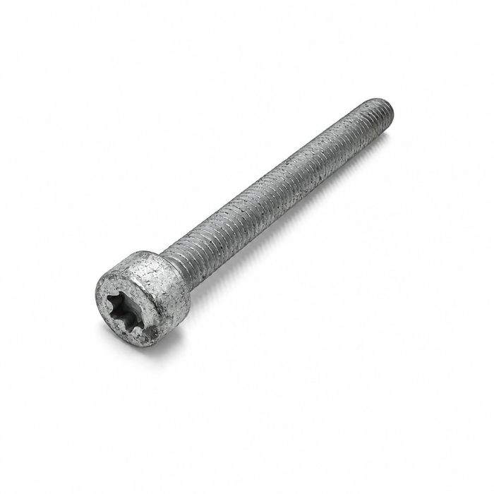 Originele inbusbout (M6X60)