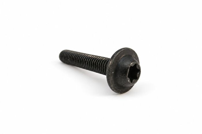 Originele inbusbout met platte kop (M6X16)
