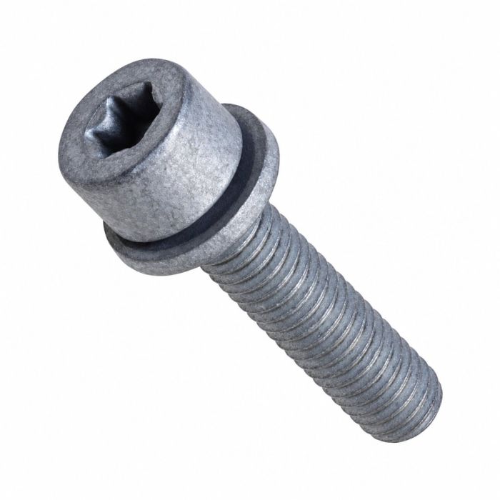 Originele inbus- bout (combi) (M6X25)