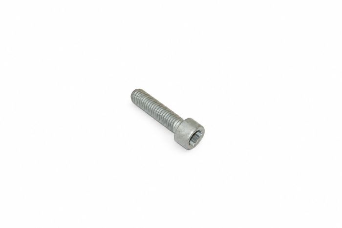 Originele inbusbout met poly-inbuskop (M10X40)
