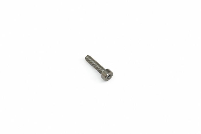 Originele inbus- bout (M5X20)
