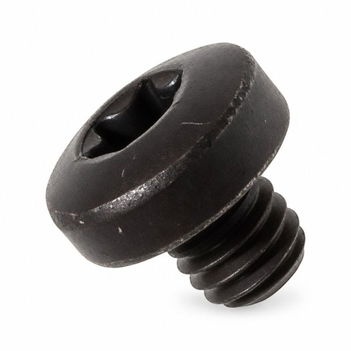 Originele inbusbout met platte kop (M6X6)