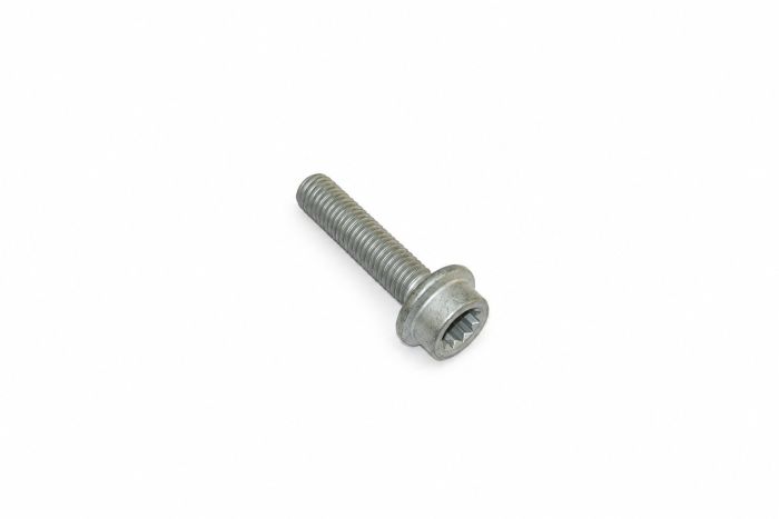 Originele inbusbout met poly- inbuskop (combi) (M10X45)