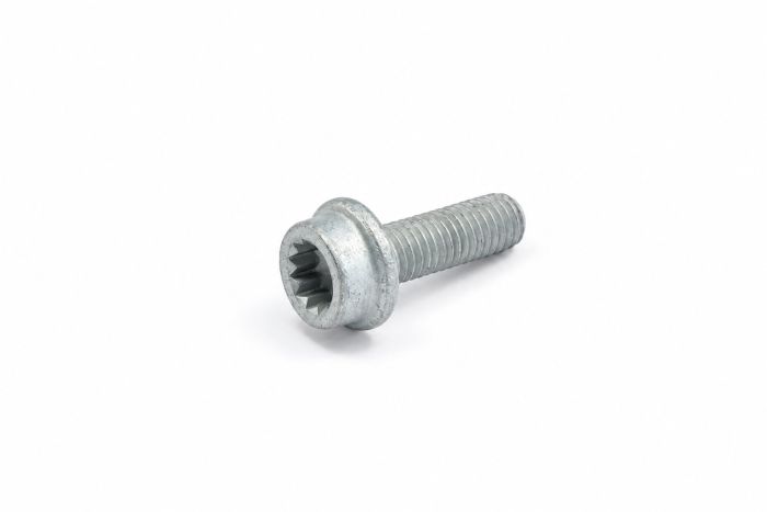 Originele inbusbout met poly-inbuskop (M8X25)