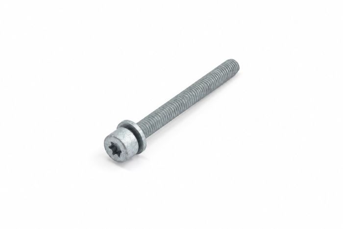 Originele inbusbout met inbuskop (M6X60)
