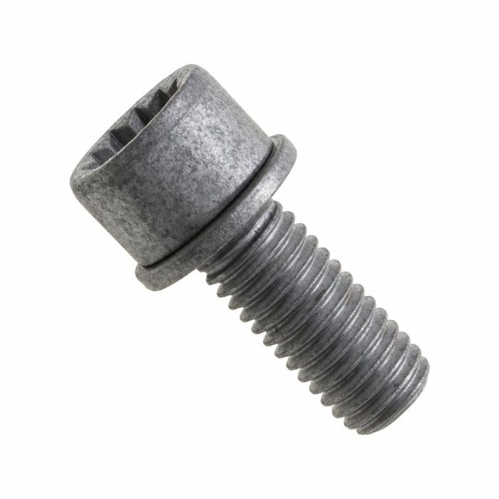 Originele inbusbout met poly- inbuskop (combi) (M10X25)