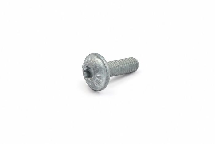 Originele flensbout met inwendige torx (M6X18)
