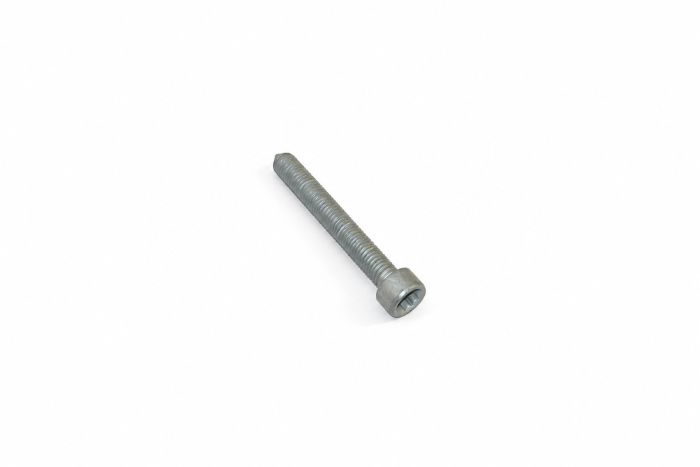 Originele inbuskraagbout met poly-inbuskop (M8X60)
