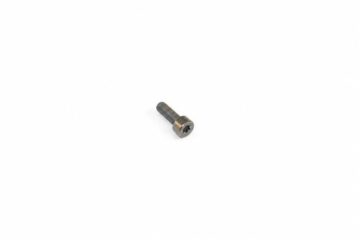 Originele inbus- (M5X15)